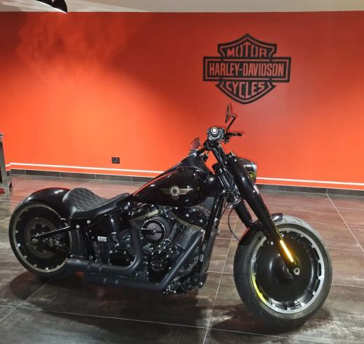 Harley-Davidson Fat Boy 30th Anniversary n.1360 di 2500 - foto 4