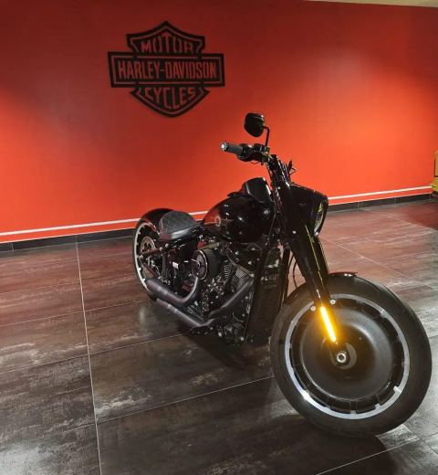 Harley-Davidson Fat Boy 30th Anniversary n.1360 di 2500 - foto 3