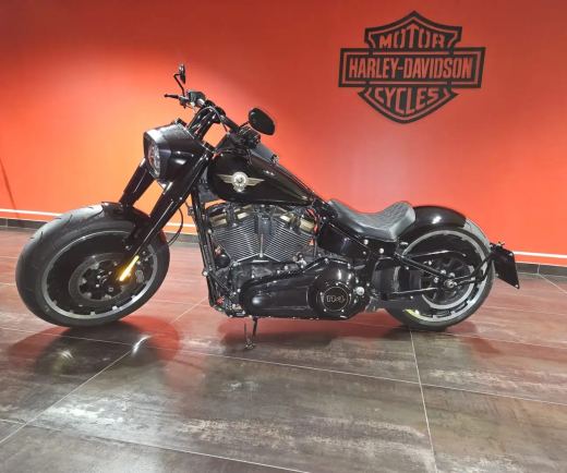 Harley-Davidson Fat Boy 30th Anniversary n.1360 di 2500 pubblicato da MotoAffari