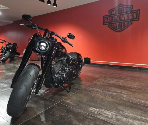 Harley-Davidson Fat Boy 30th Anniversary n.1360 di 2500 - foto 2