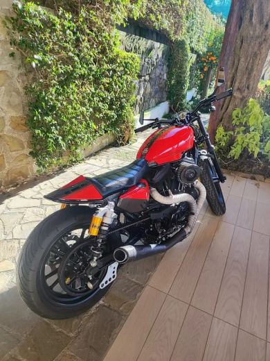 Harley-Davidson XL 1200 Shaw (speed and custom) one off (1 of 1) - foto 4